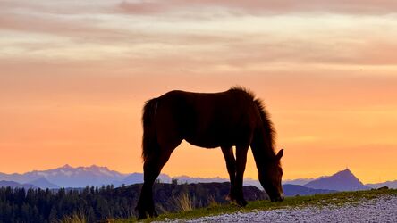 Nach Tirol ummegschaut