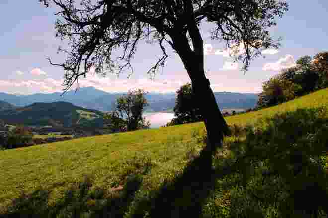 Septemberschatten