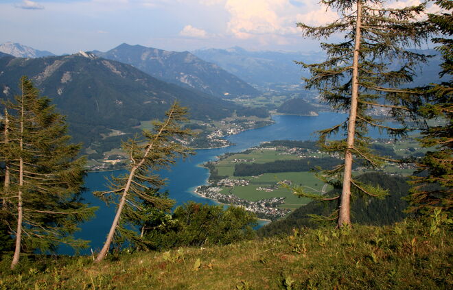 Blick auf den unteren Wolfgangsee