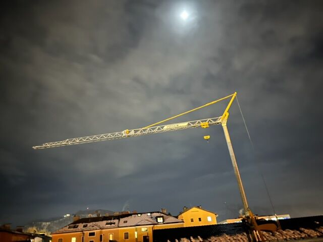 Nachbar im Mondlicht 