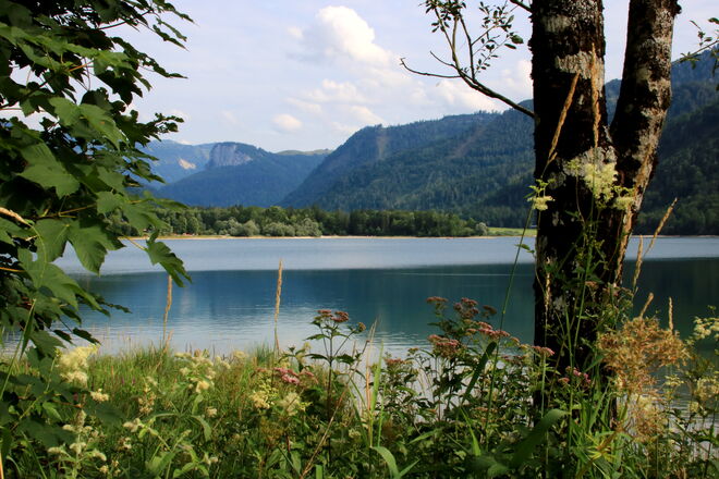 Impression vom Hintersee
