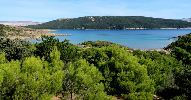 Durch herrlich duftende Pinienwälder die Strände erwandern.