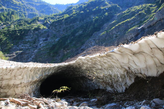 .... zum Thema Schnee