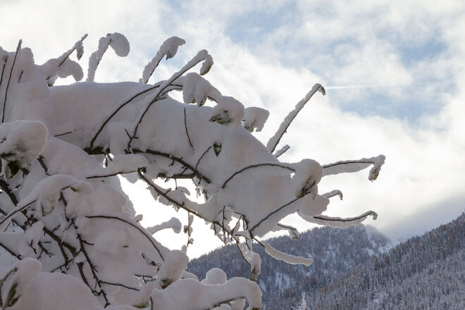 Der Winter sagt Hallo