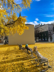 Der Herbst von seiner schönsten Seite