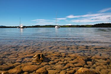 Impression vom Wallersee