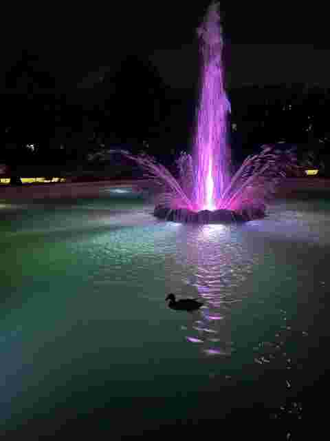 Nachts im Park