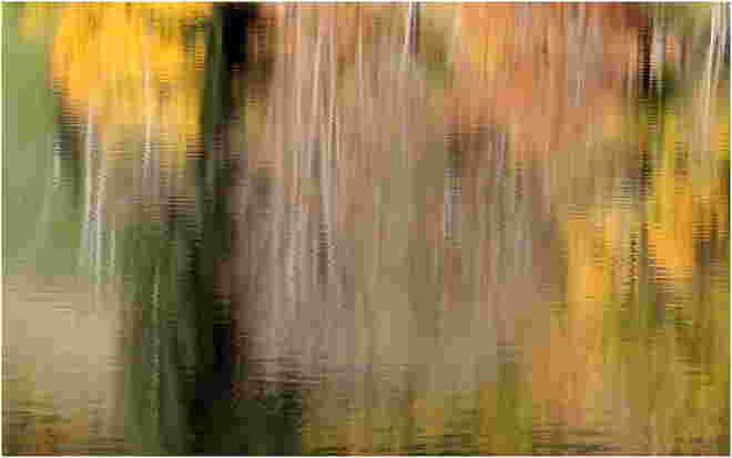 * Pinselstriche vom Maler Herbst *