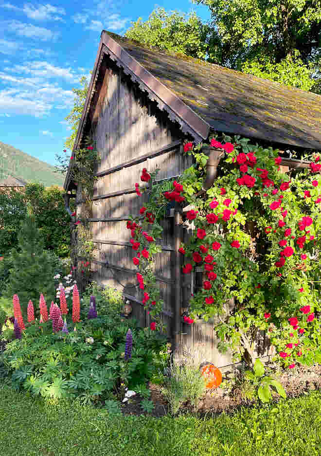 Gartenidylle