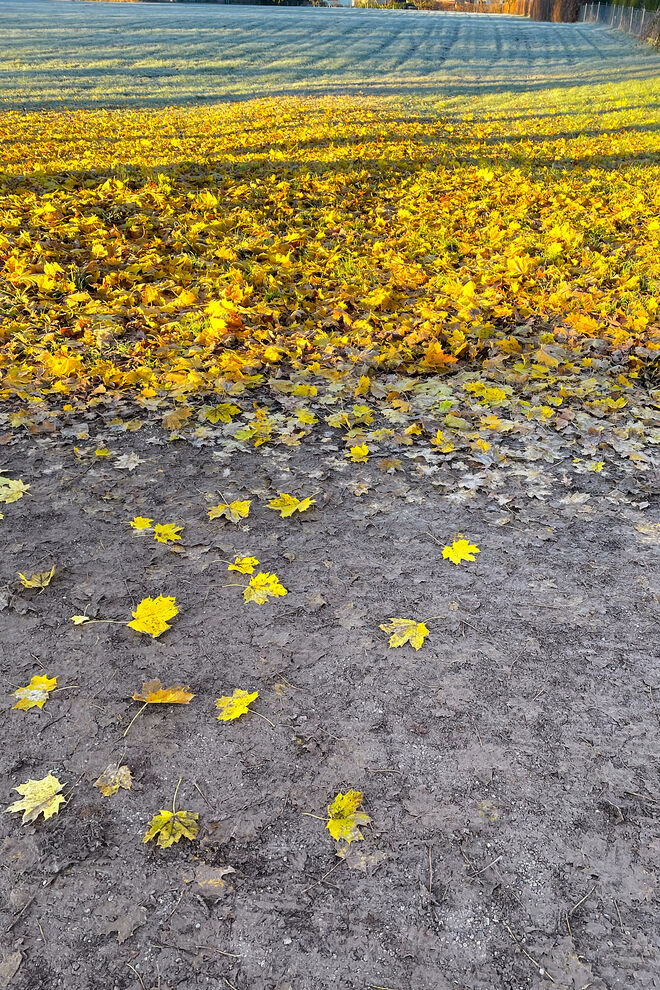 Väterchen Frost und die Morgensonne