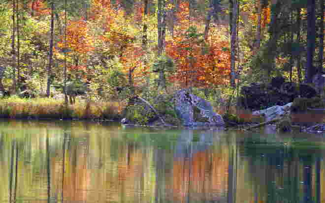* der Maler Herbst war am Hintersee *