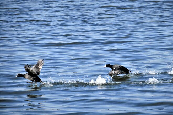 . . . hinterher . . . 