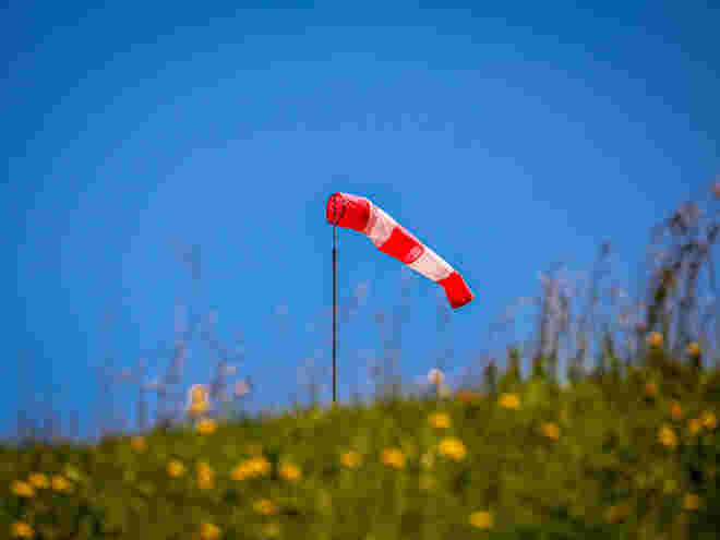 Mal schauen, woher der Wind kommt...