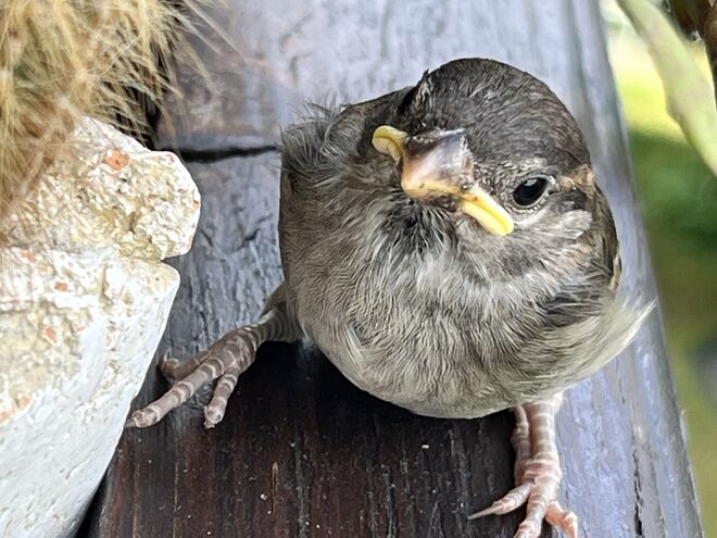 ……und wo bleiben denn die anderen?