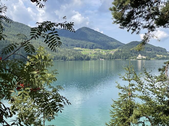 Toller Blick auf Schloss Fuschl