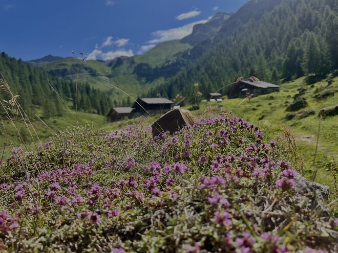 Am Talschluss unter‘m Hochtor