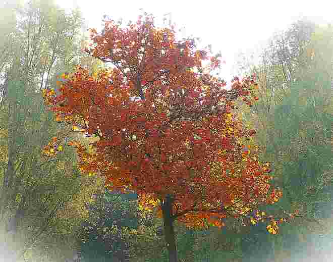 November...