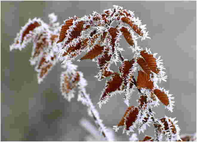 * Väterchen Frost beißt sich fest *