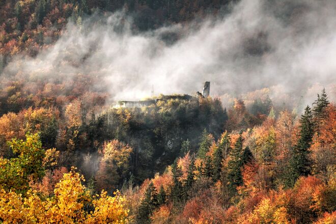 Nebelumwobene Burgruine Wildenstein am Fusse der Katrin