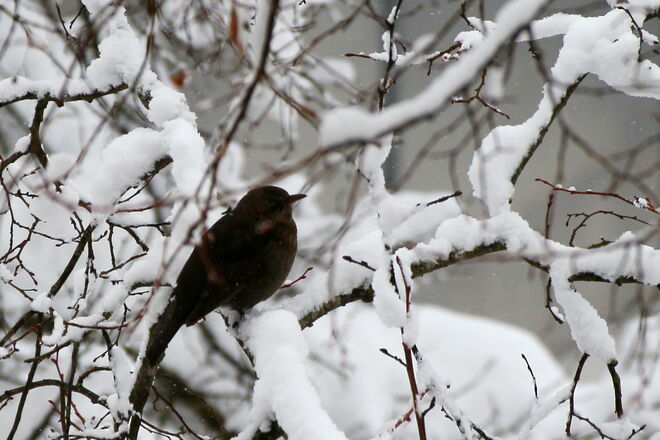 "Also, i könnt a bisserl Sonne vertragen"