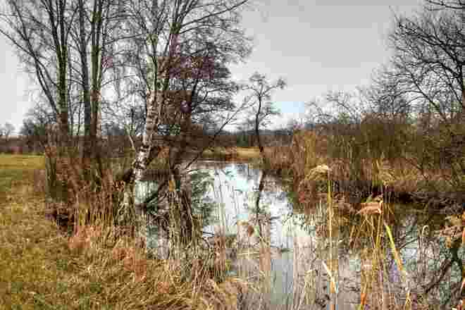 Spaziergang im Naturschutzgebiet am Grabensee