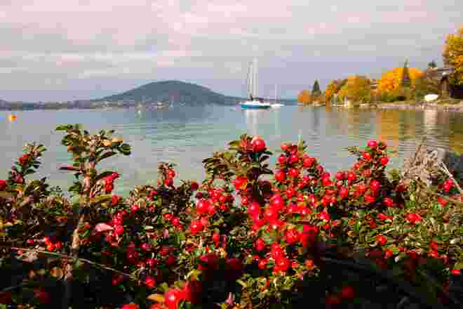 Herbstsonntag am Attersee