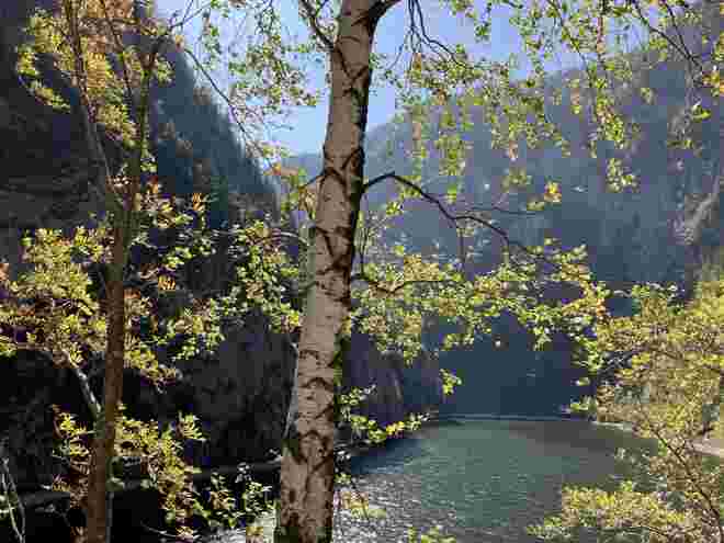 Noch fällt Sonne ins Salzatal