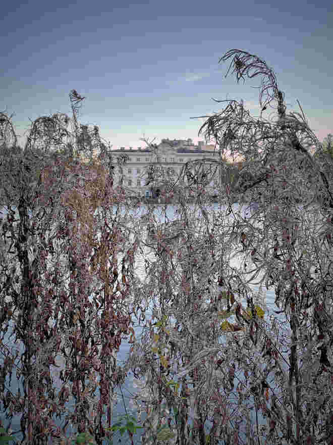 Hinter Gardinen