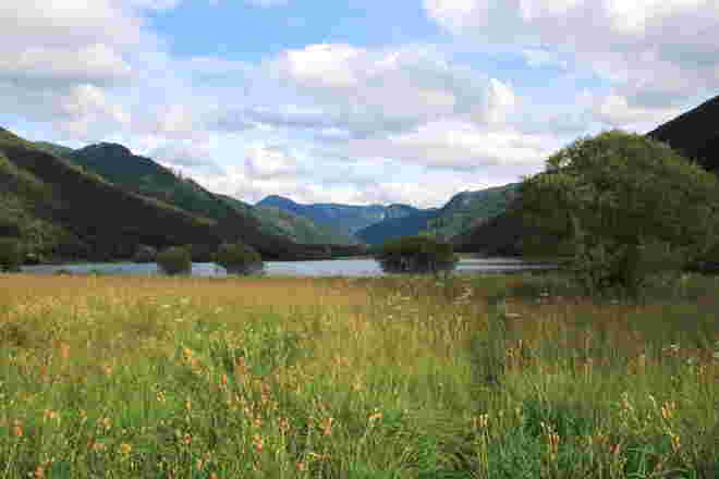 Stimmung von den Hintersee-Wiesen