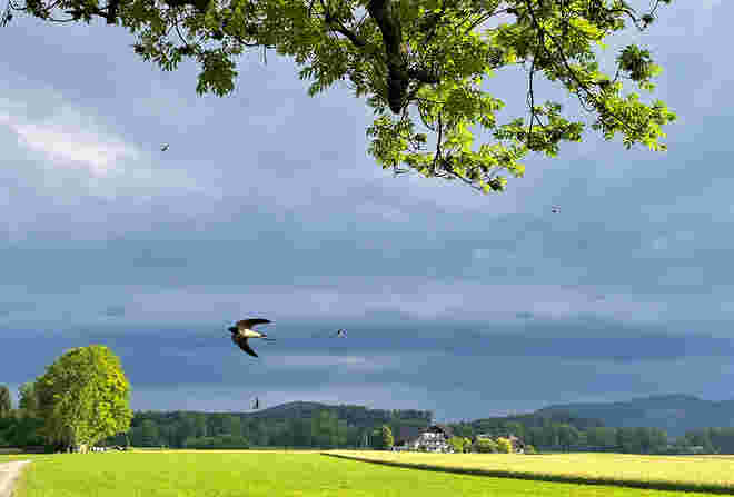 Noch schneller unterwegs