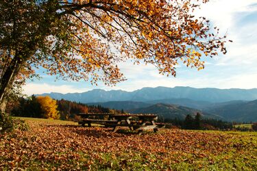 Genußplatzerl in der Herbstsonne