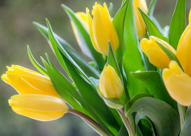 Frühlingsgefühle...