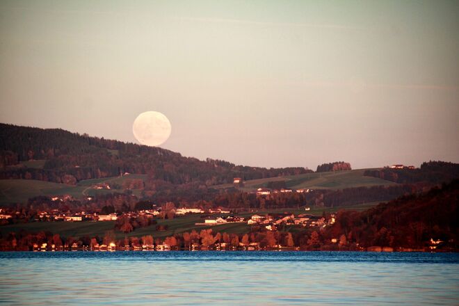 Gleich rollt er herunter :-)