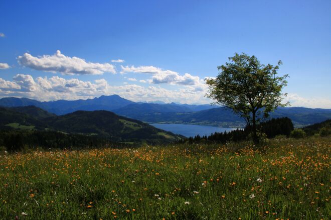 Impression vom Gahberg....