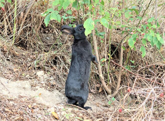 Ein bisschen Strecken...