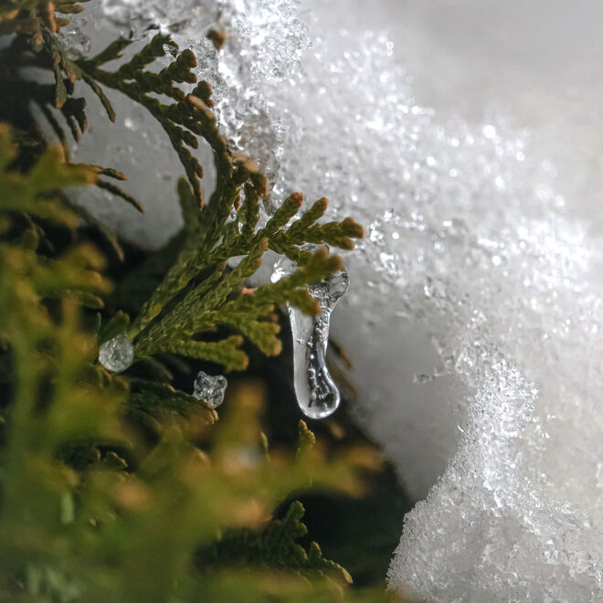 Kleiner Eiszapfen...