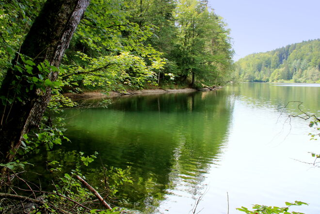 Impression vom Nussensee