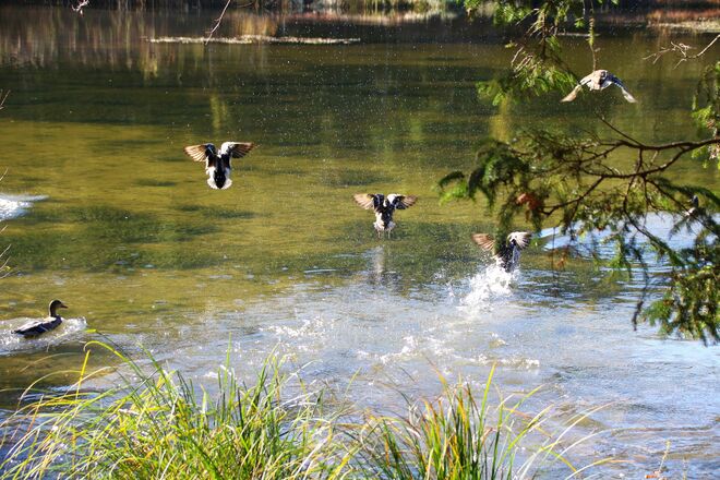 Herbstliches Badevergnügen