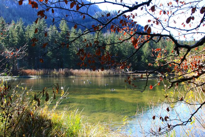 Herbstidylle am Taferlklaussee