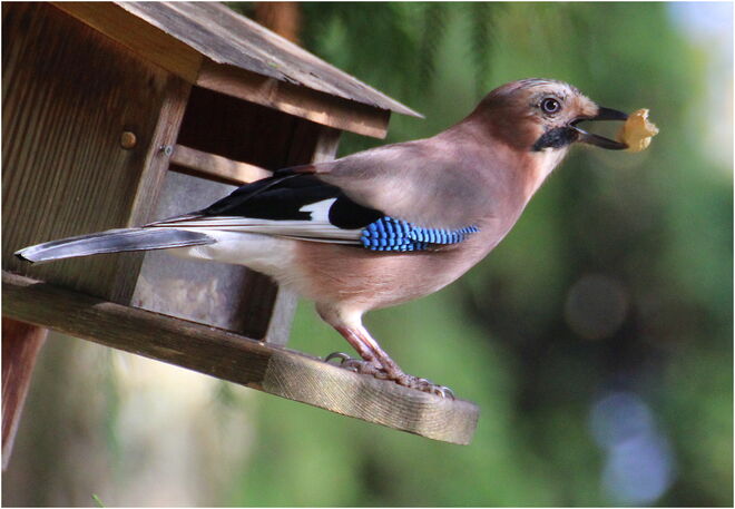 * alles nur geklaut ;) *