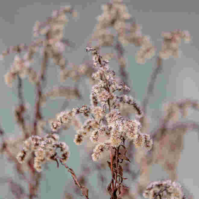 Winterzauber