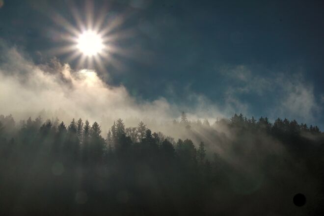 Mystische Lichtstimmung am Morgen 