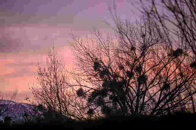 Am Ende des Tages...