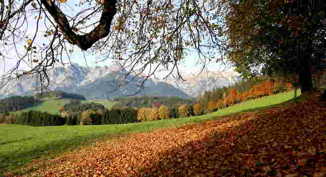 Herbstimpression