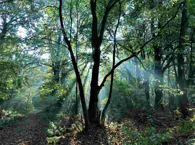 Morgenspaziergang