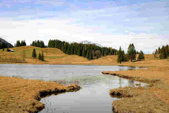 Beste Zeit um rund um den Seewaldsee zu gehen...