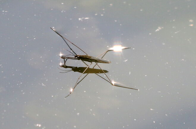 Wer heute schon alles elektrisch unterwegs ist!