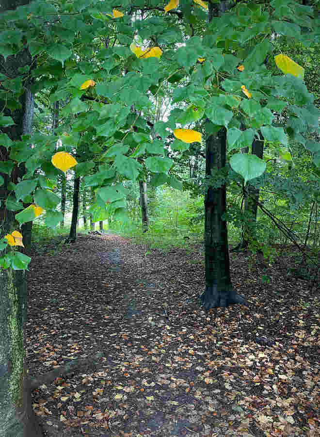 Herbstweg