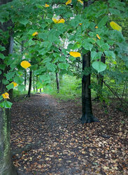 Herbstweg
