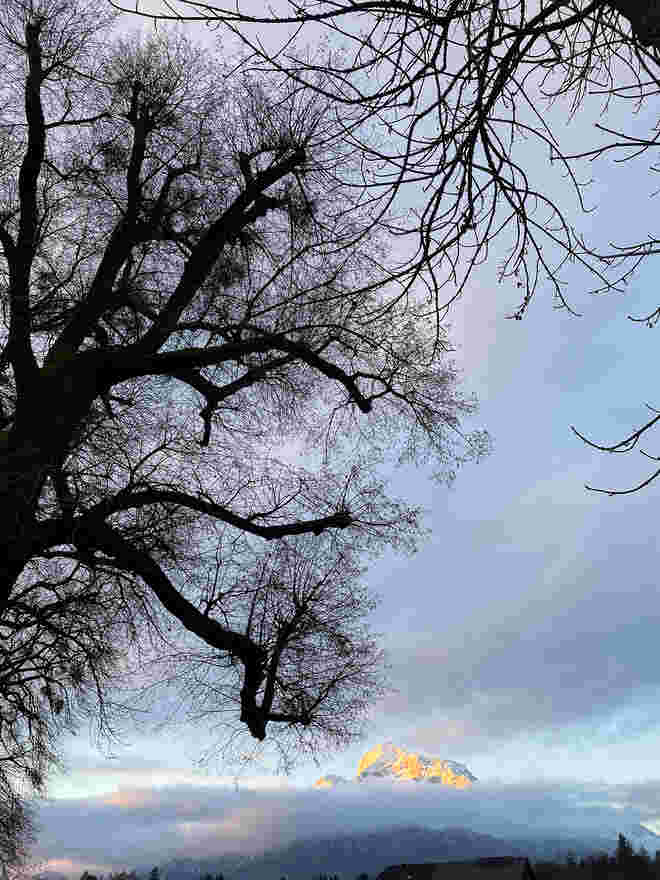 In der Morgensonne